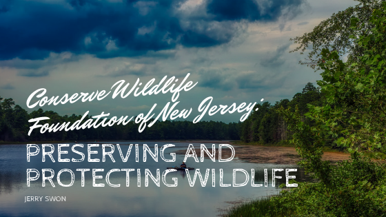 Conserve Wildlife Foundation Of New Jersey Preserving And Protecting Wildlife Jerry Swon