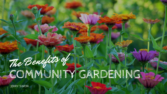 Js The Benefits Of Community Gardening